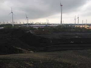 Viel Platz für Grünschnitt